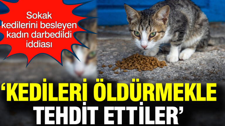 sokak-kedilerini-besleyen-kadin-darbedildi-iddiasi-kedileri-oldurmekle-tehdit-ettiler-nmSSeOS3