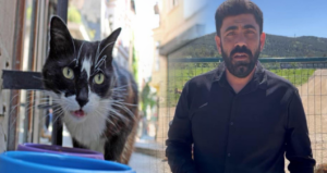 sokak-kedisini-oldurmenin-cezasi-5-ay-hapis-o-da-ertelendi-MlalMQjj