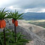 yore-halki-basinda-nobet-bekliyor-tek-bir-hata-700-bin-tlye-mal-oluyor-1YSCOYPj