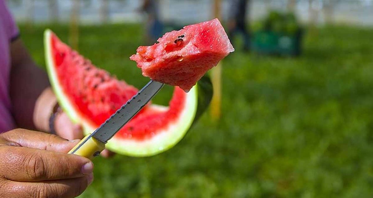 Karpuzun Sağlığa Faydaları Bilimsel Olarak Kanıtlandı