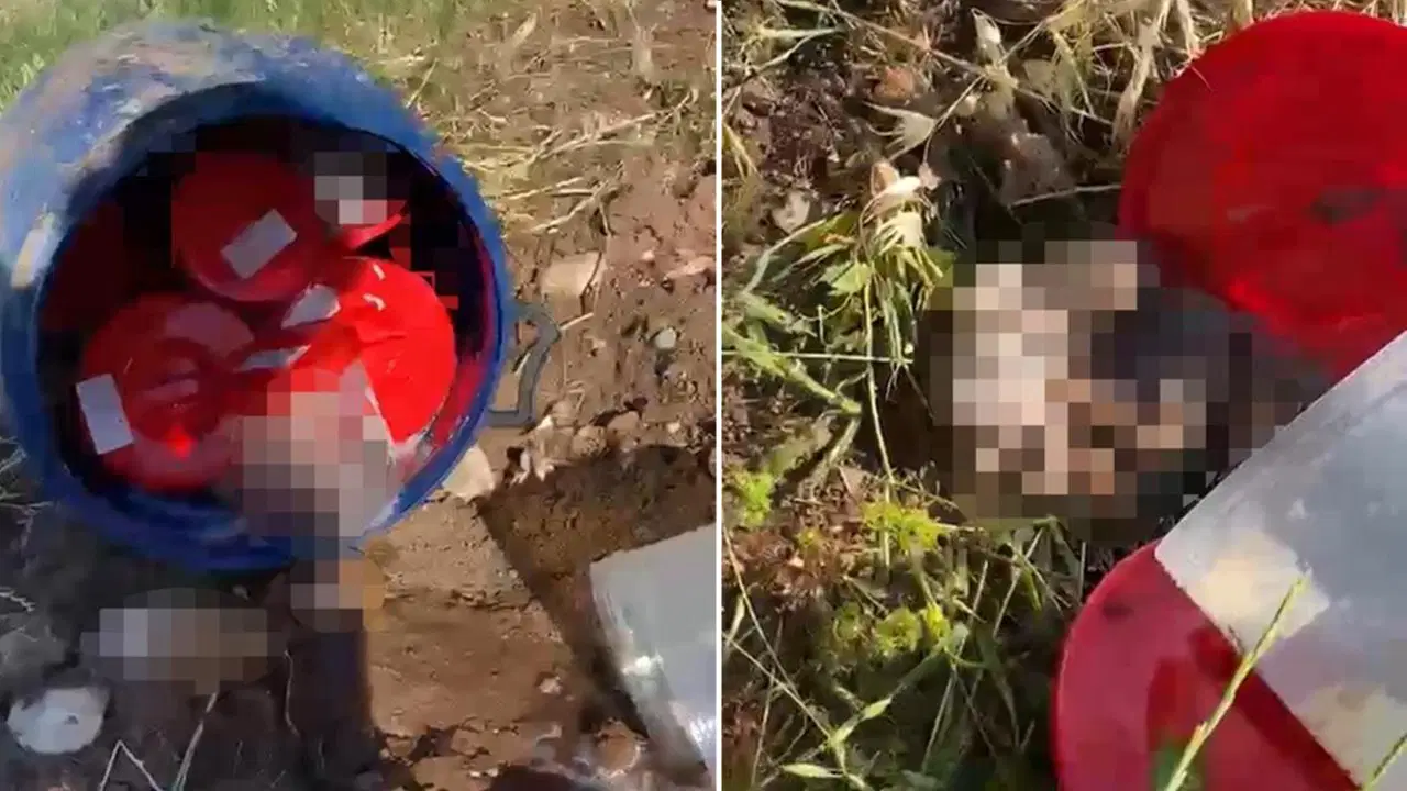 Şanlıurfa’da Cenine İlişkin Şok İddia: Ticari Amaçlar İçin Mi Kullanıldı?