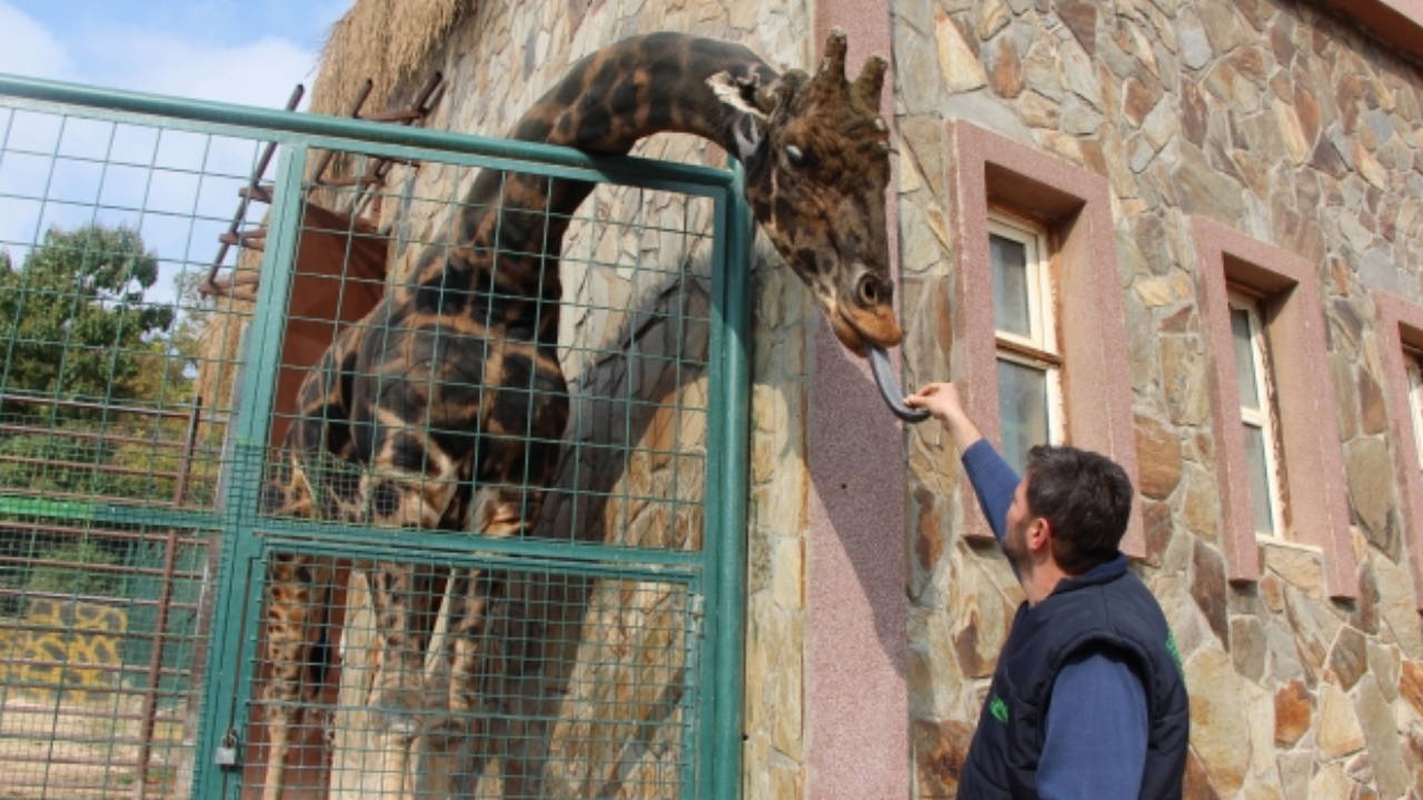 Gaziantep Hayvanat Bahçesi’ndeki Durum TBMM’de Tartışmaya Açıldı