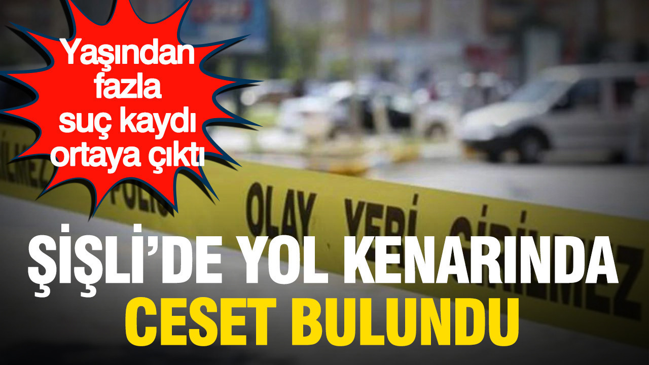 Sislide yol kenarinda ceset bulundu yasindan fazla suc kaydi ortaya cikti UXceJv8l